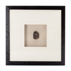 Bilder Edelsteinkunst Force